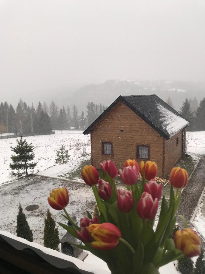 Domki Zlota Rybka Nad Jeziorem Solinskim Zawoz Bagian luar foto