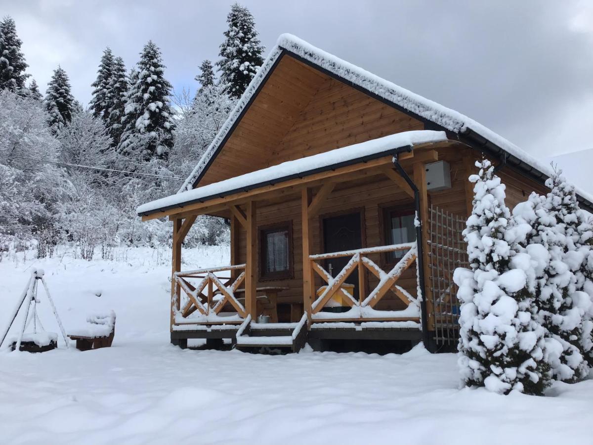 Domki Zlota Rybka Nad Jeziorem Solinskim Zawoz Bagian luar foto