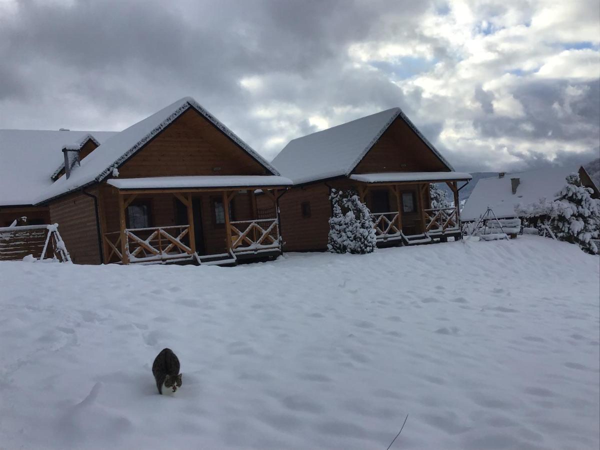 Domki Zlota Rybka Nad Jeziorem Solinskim Zawoz Bagian luar foto