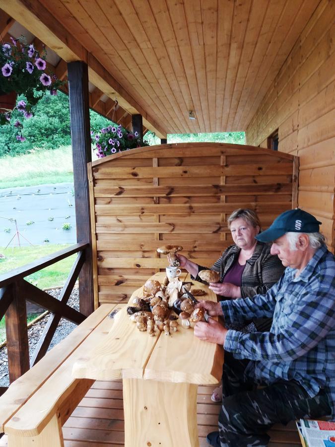 Domki Zlota Rybka Nad Jeziorem Solinskim Zawoz Bagian luar foto