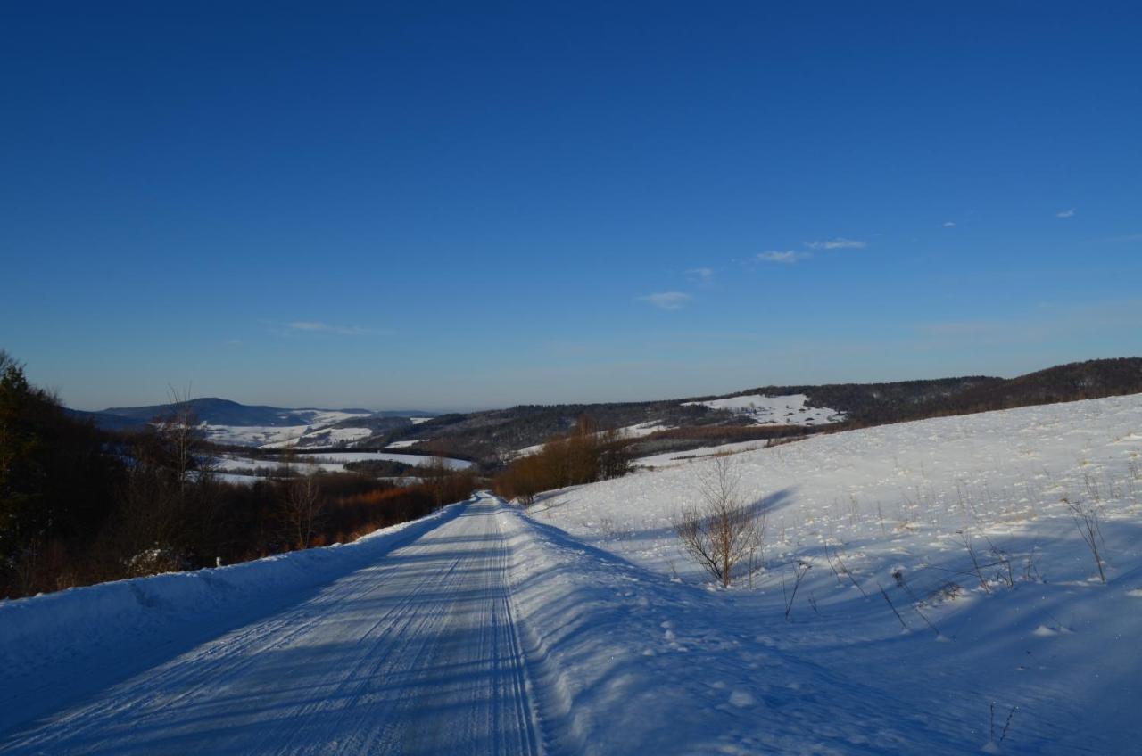 Domki Zlota Rybka Nad Jeziorem Solinskim Zawoz Bagian luar foto