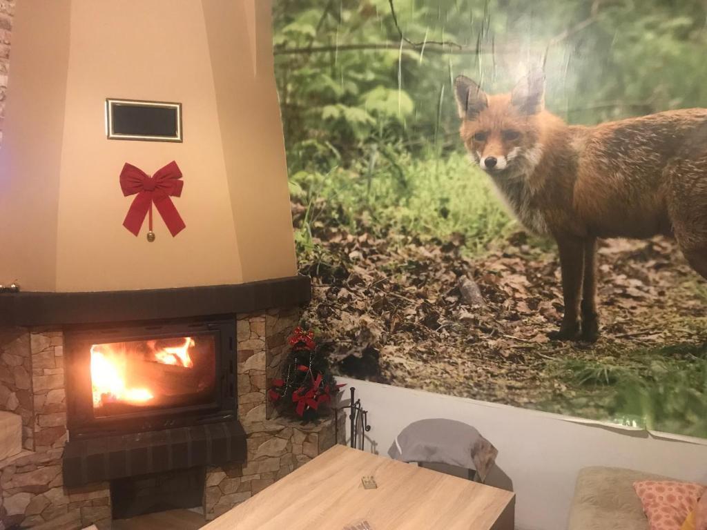 Domki Zlota Rybka Nad Jeziorem Solinskim Zawoz Bagian luar foto